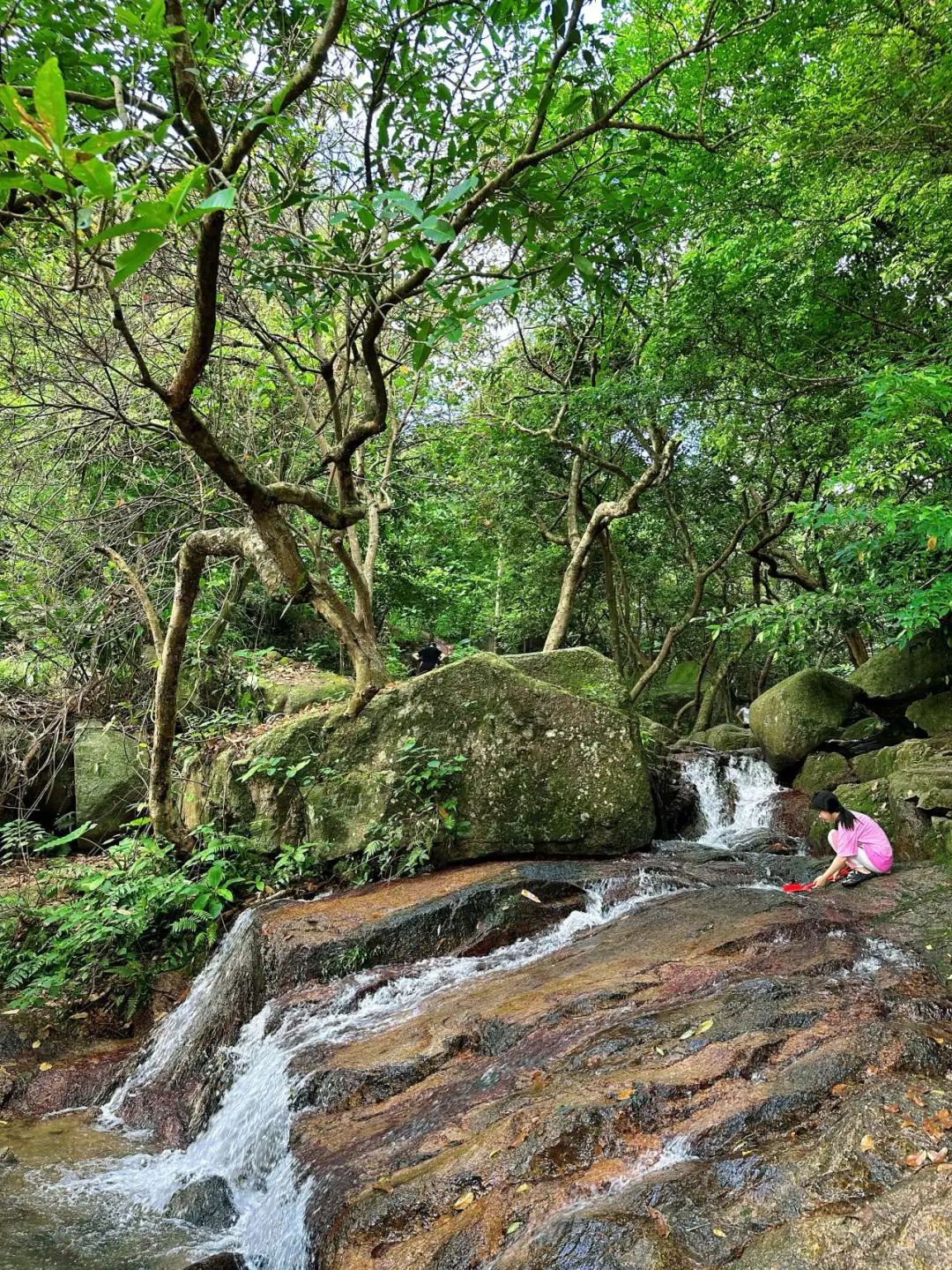 Shenzhen Yangtai Mountain Forest Park