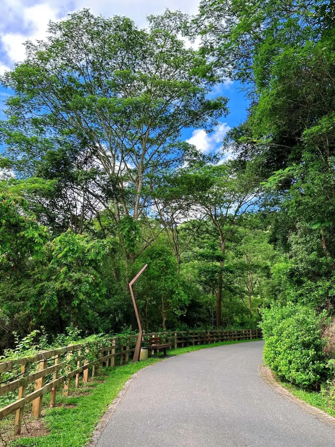 Shenzhen Yangtai Mountain Forest Park