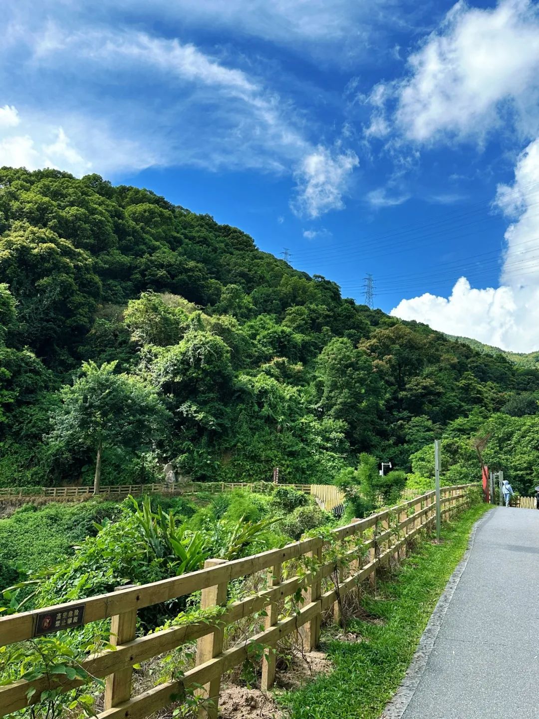 Shenzhen Yangtai Mountain Forest Park