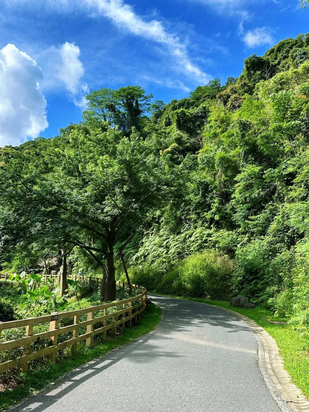 Shenzhen Yangtai Mountain Forest Park