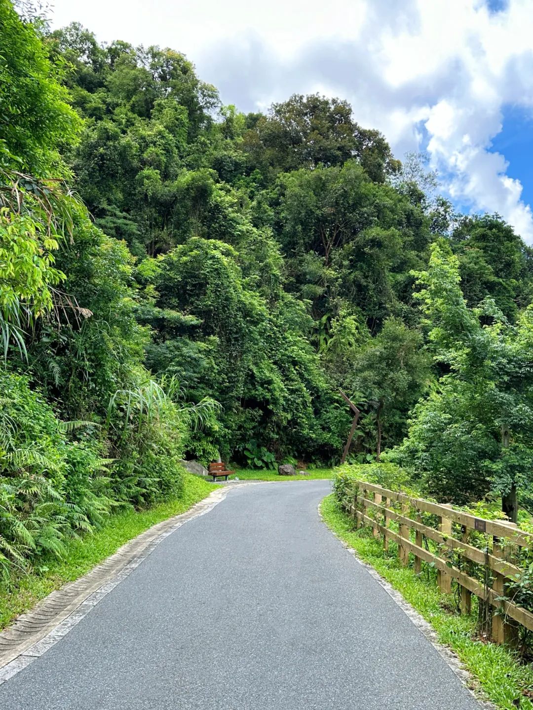 Shenzhen Yangtai Mountain Forest Park