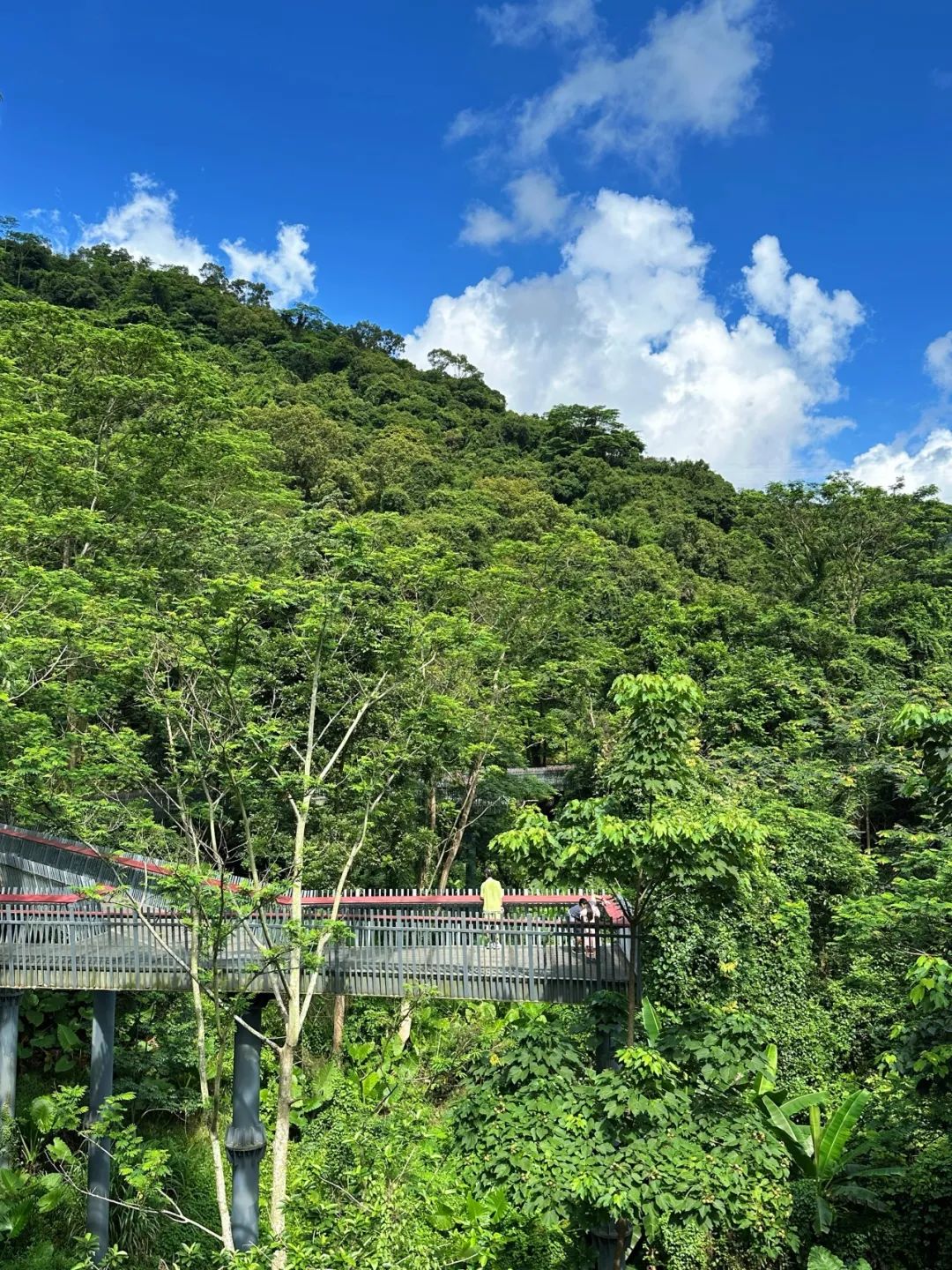 Shenzhen Yangtai Mountain Forest Park