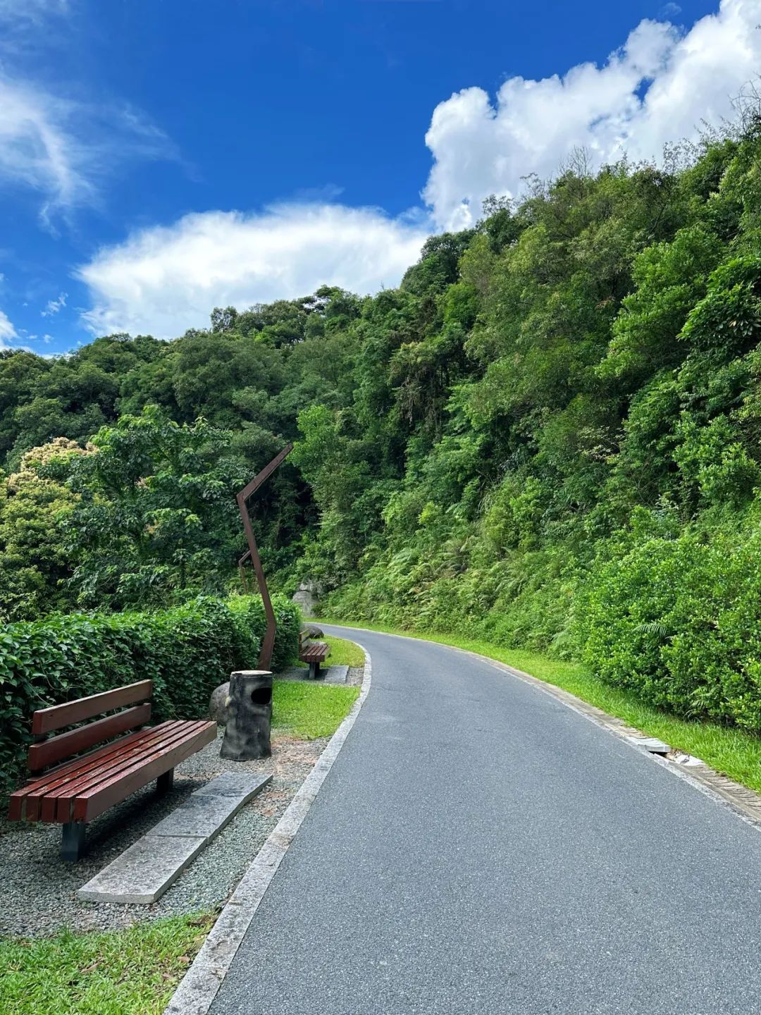 Shenzhen Yangtai Mountain Forest Park