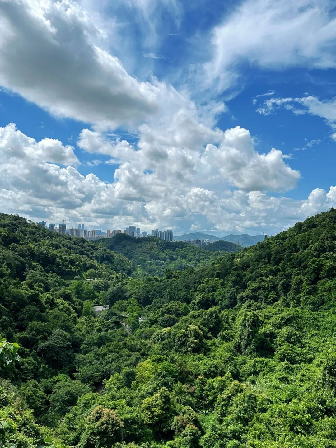 Shenzhen Yangtai Mountain Forest Park