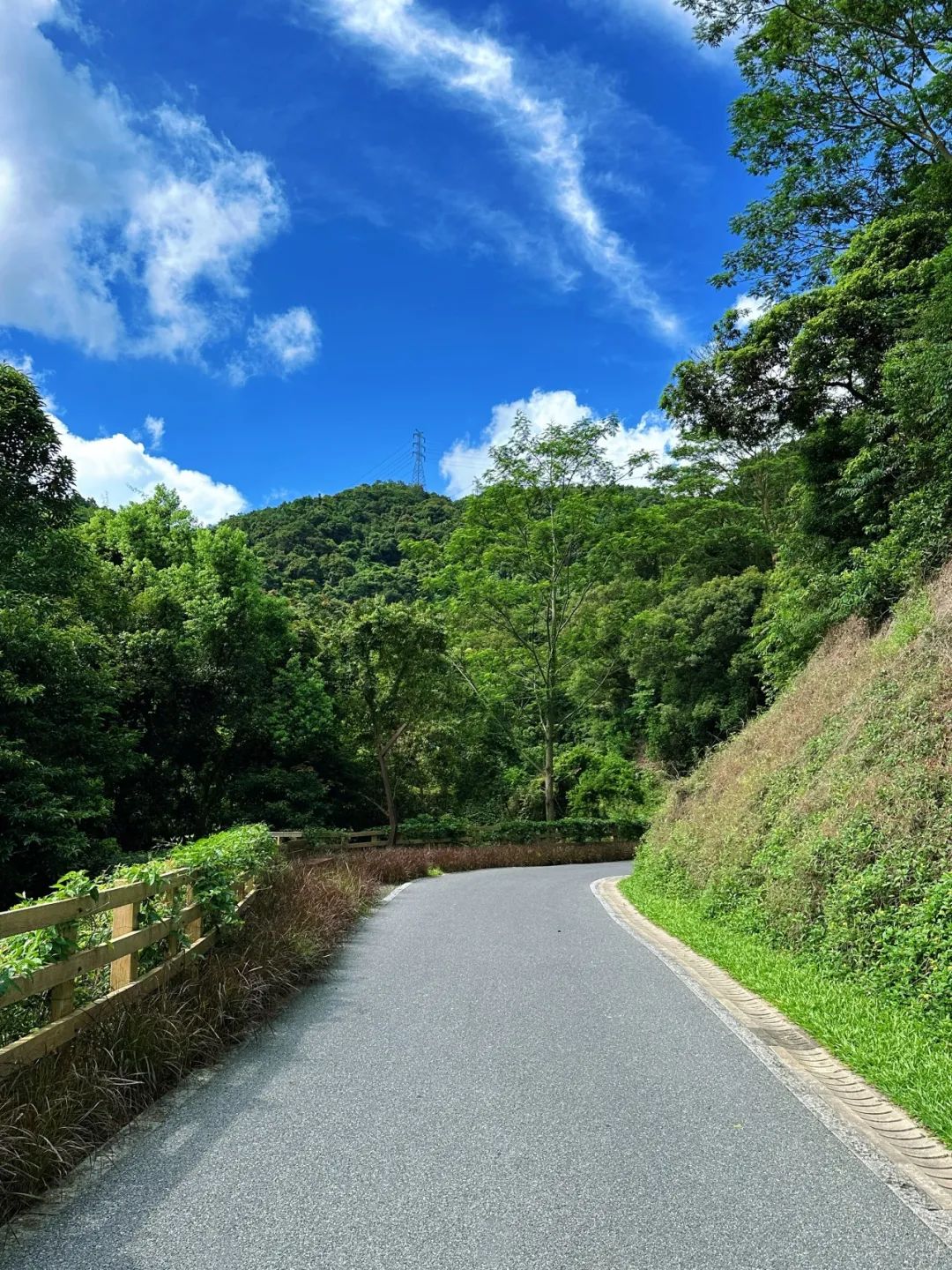 Shenzhen Yangtai Mountain Forest Park