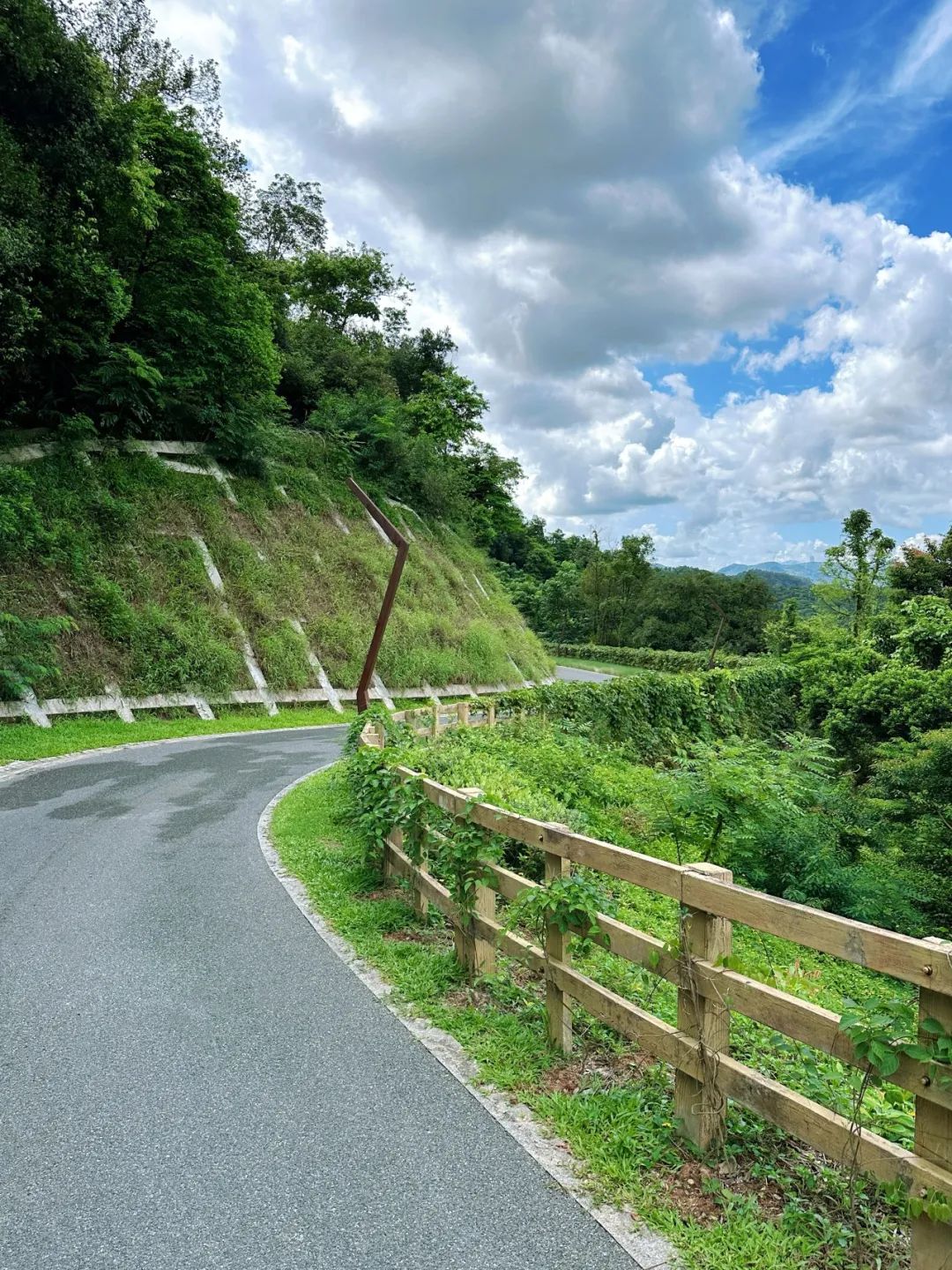 Shenzhen Yangtai Mountain Forest Park