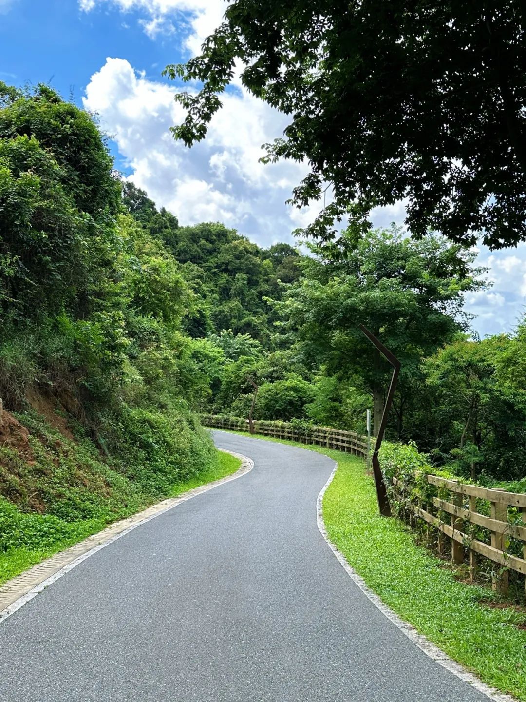 Shenzhen Yangtai Mountain Forest Park