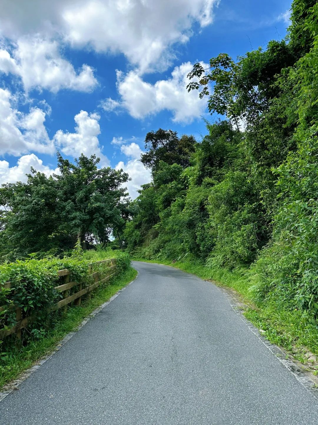 Shenzhen Yangtai Mountain Forest Park