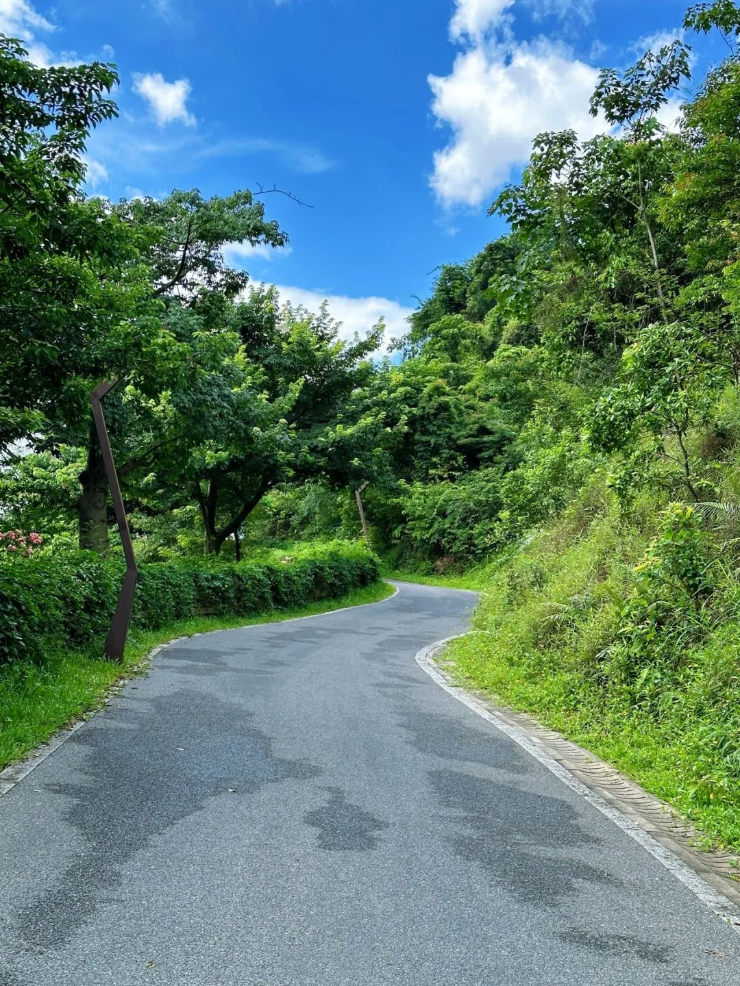 Shenzhen Yangtai Mountain Forest Park