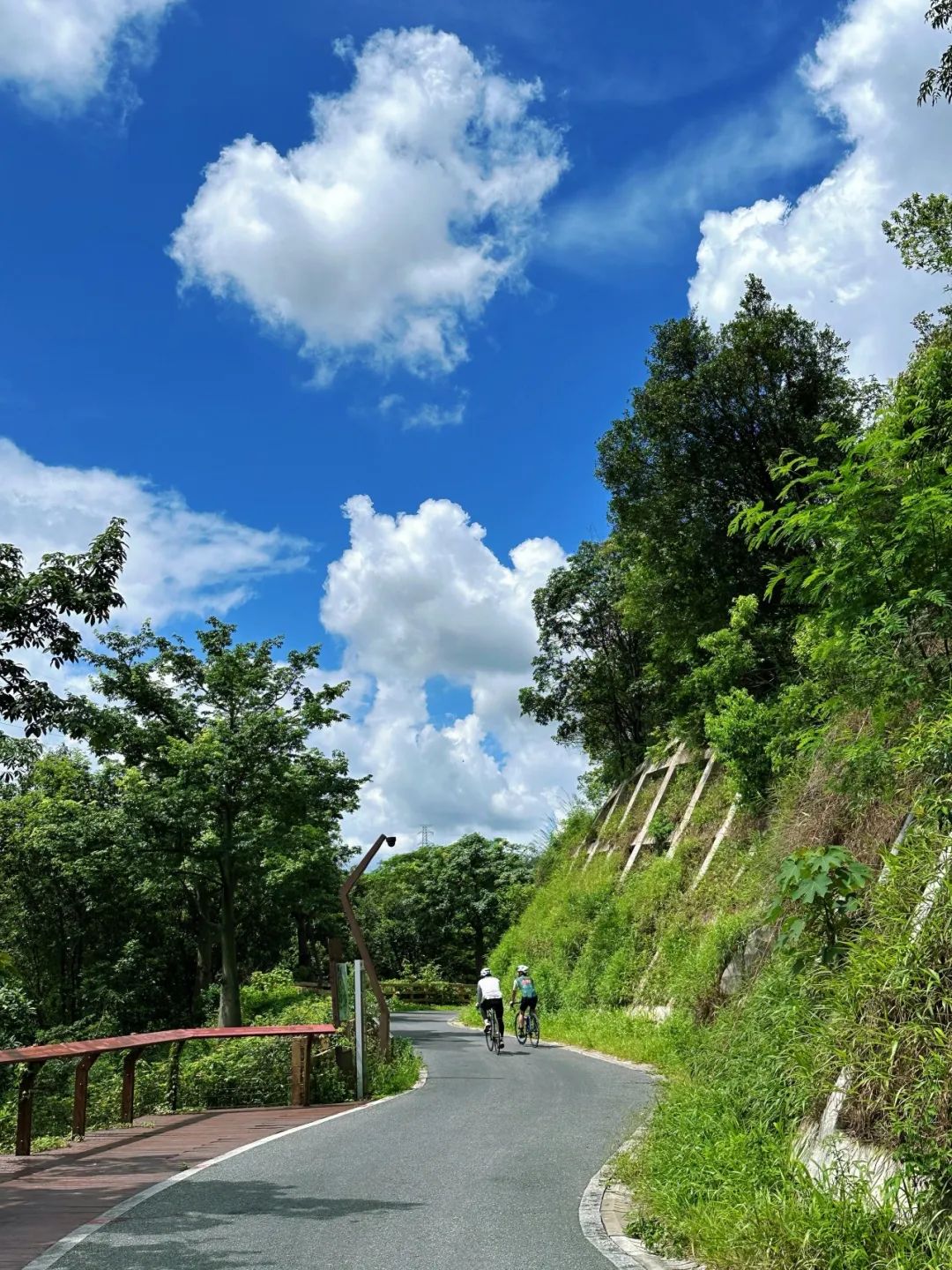 Shenzhen Yangtai Mountain Forest Park