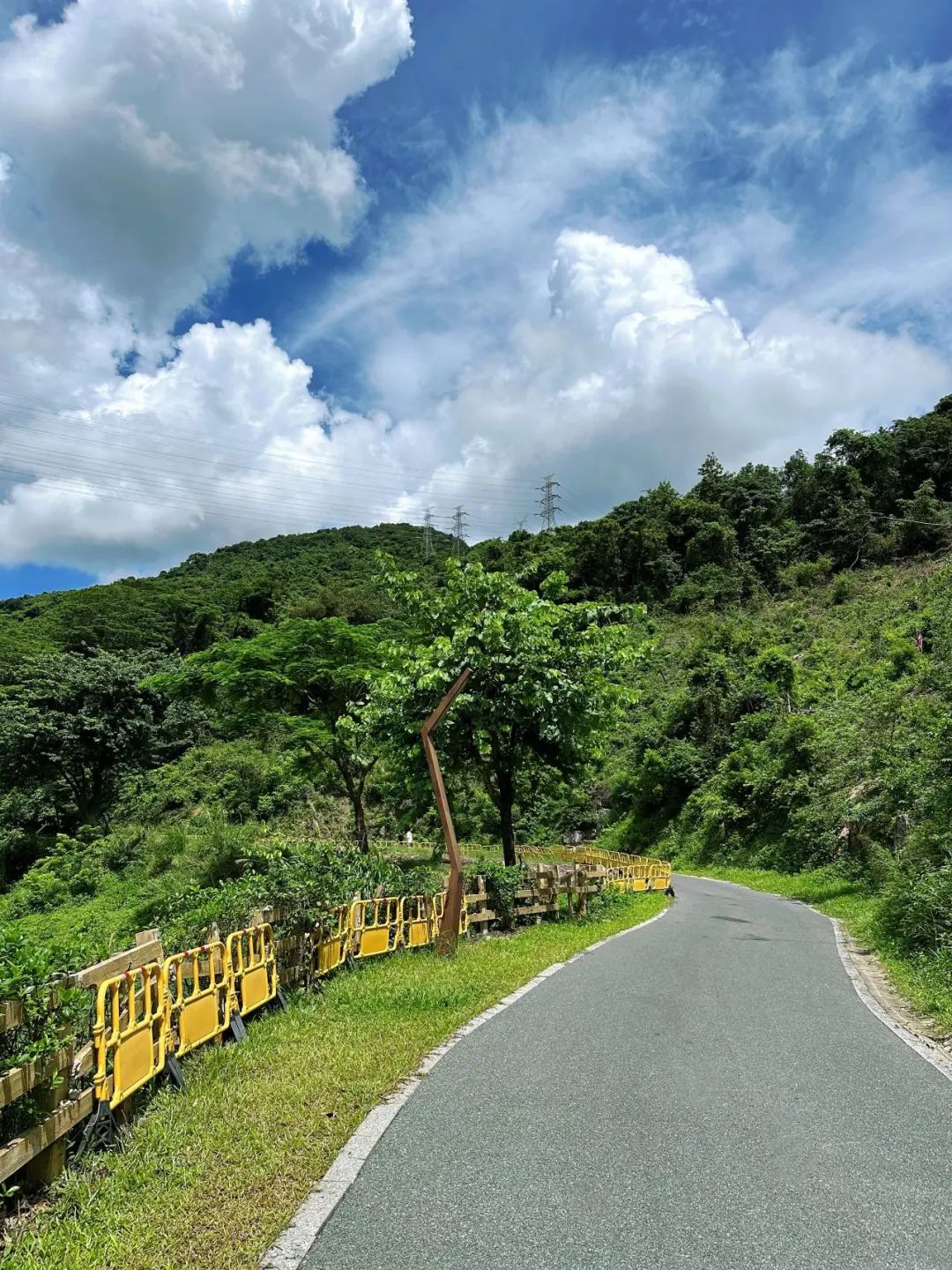 Shenzhen Yangtai Mountain Forest Park