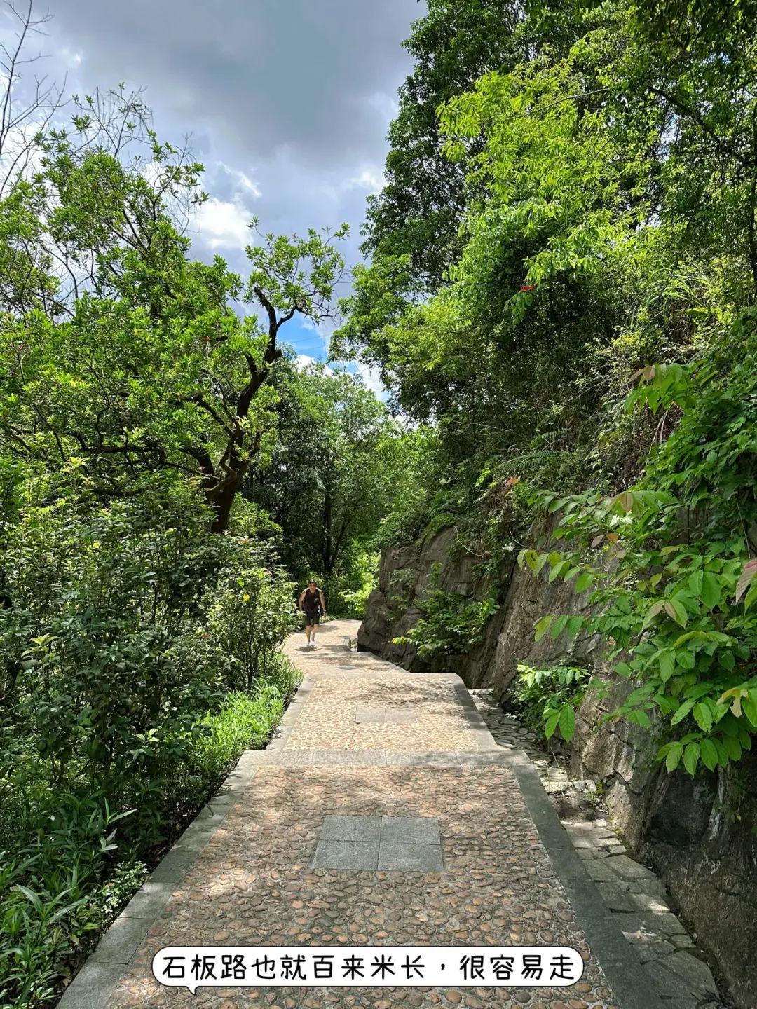 Shenzhen Yangtai Mountain Forest Park