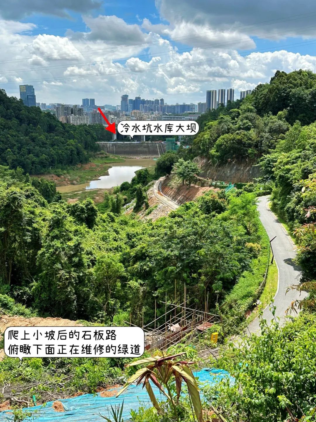 Shenzhen Yangtai Mountain Forest Park