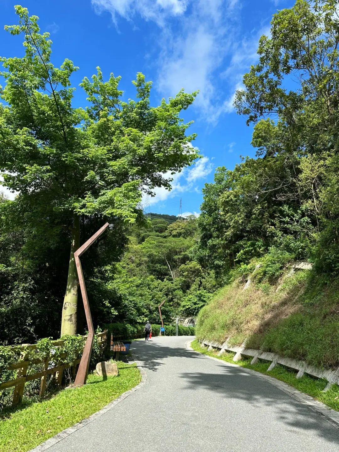 Shenzhen Yangtai Mountain Forest Park