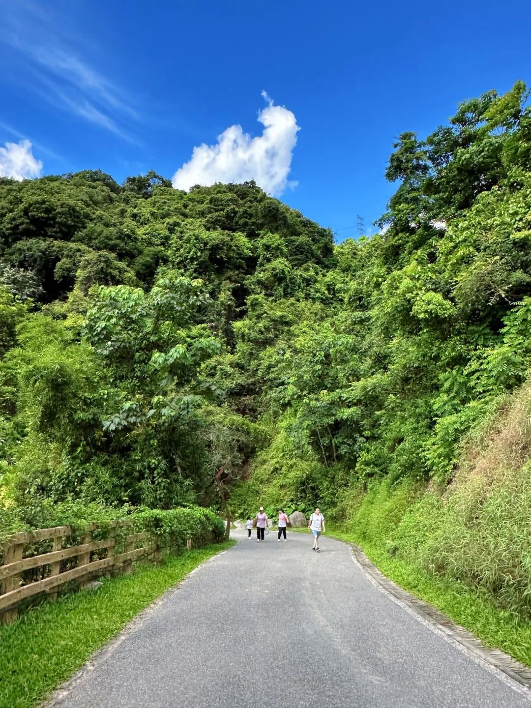 Shenzhen Yangtai Mountain Forest Park