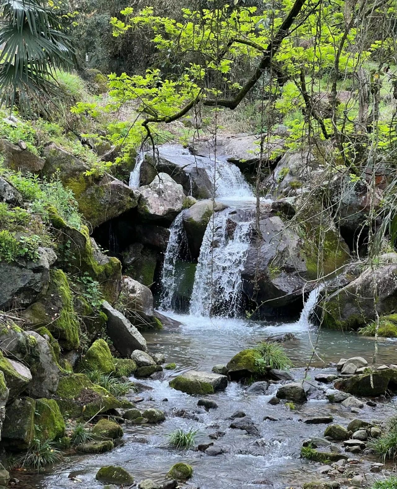 Nandai Village, a paradise in the embrace of mountains