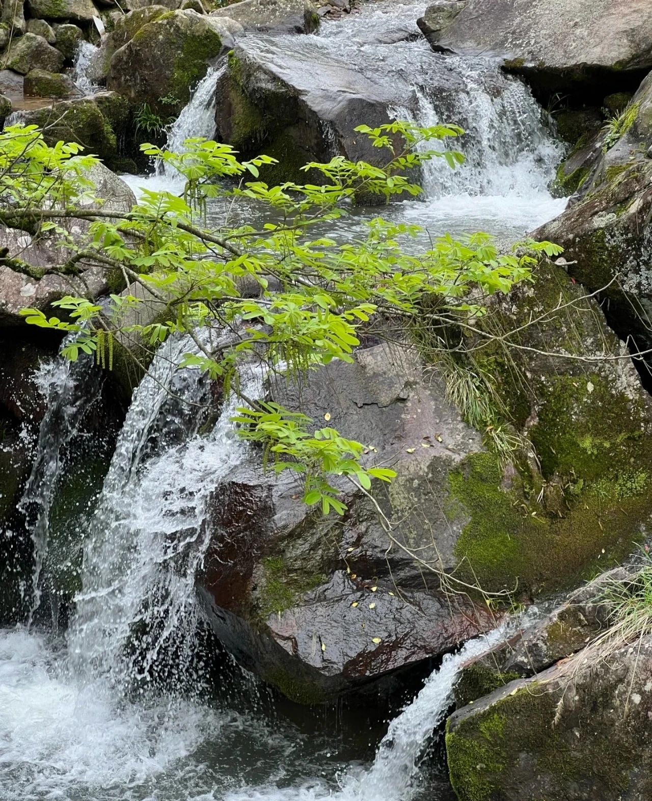 Nandai Village, a paradise in the embrace of mountains