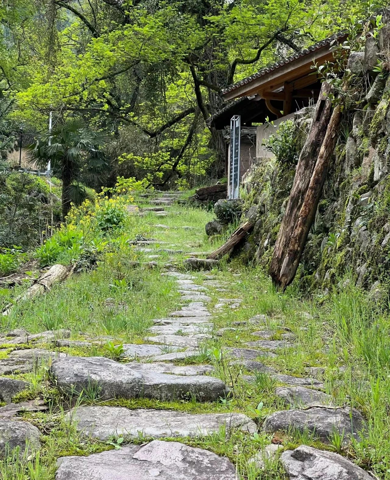 Nandai Village, a paradise in the embrace of mountains