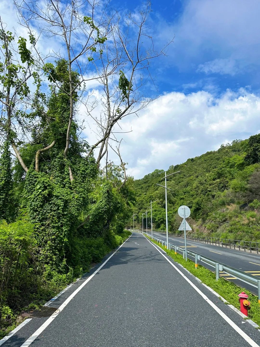 Shenzhen Dapeng Bay Coastal Greenway