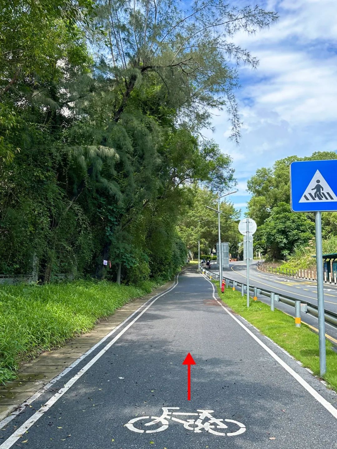 Shenzhen Dapeng Bay Coastal Greenway