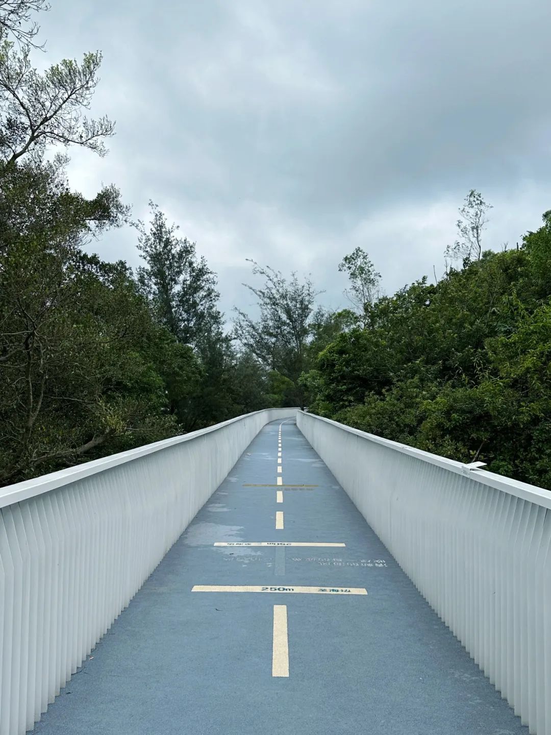 Shenzhen Dapeng Bay Coastal Greenway