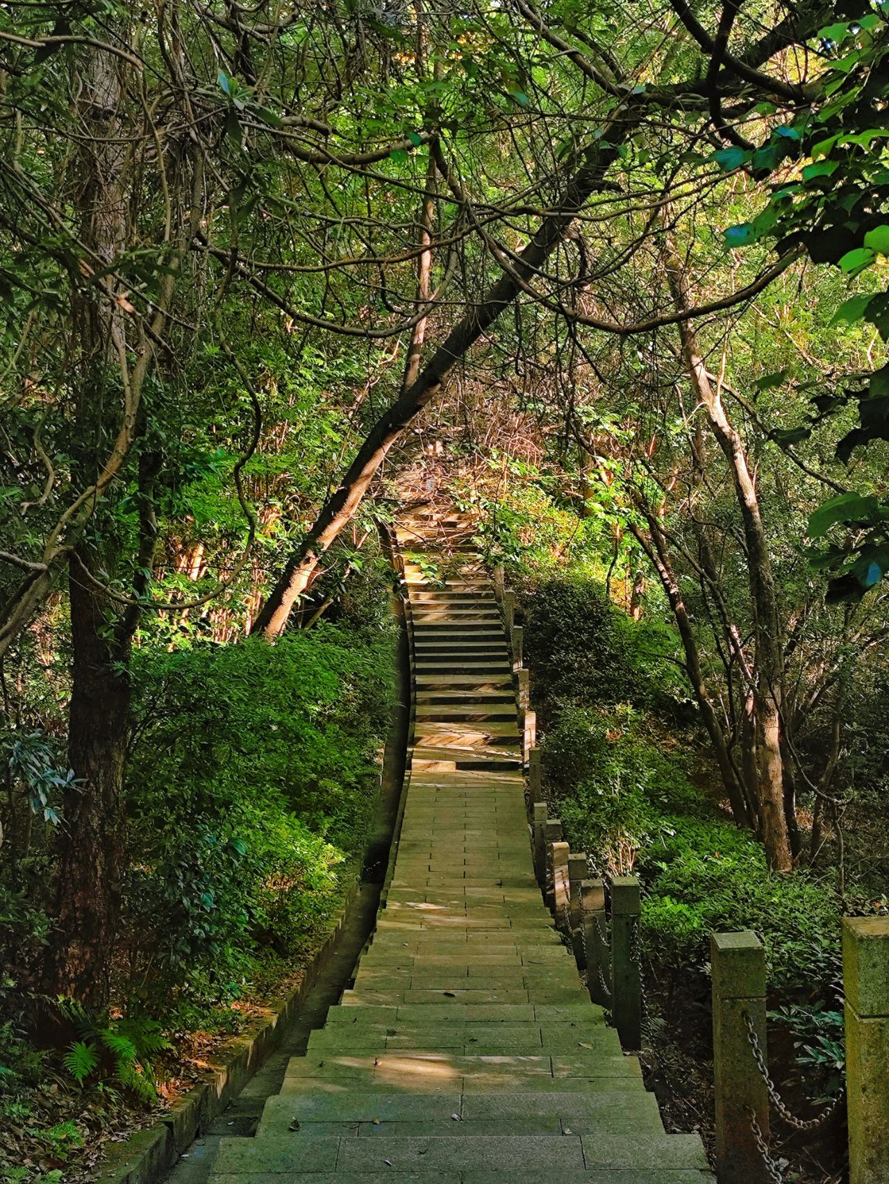 Another Wizard of Oz in Shenzhen, as if walking through a fairy tale forest