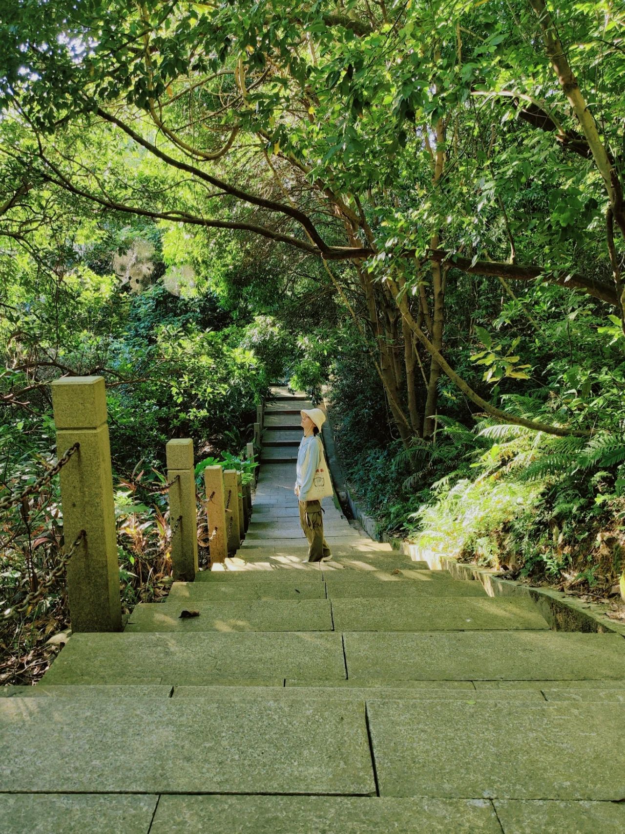 Wizard of Oz in Shenzhen, as if walking through a fairy tale forest