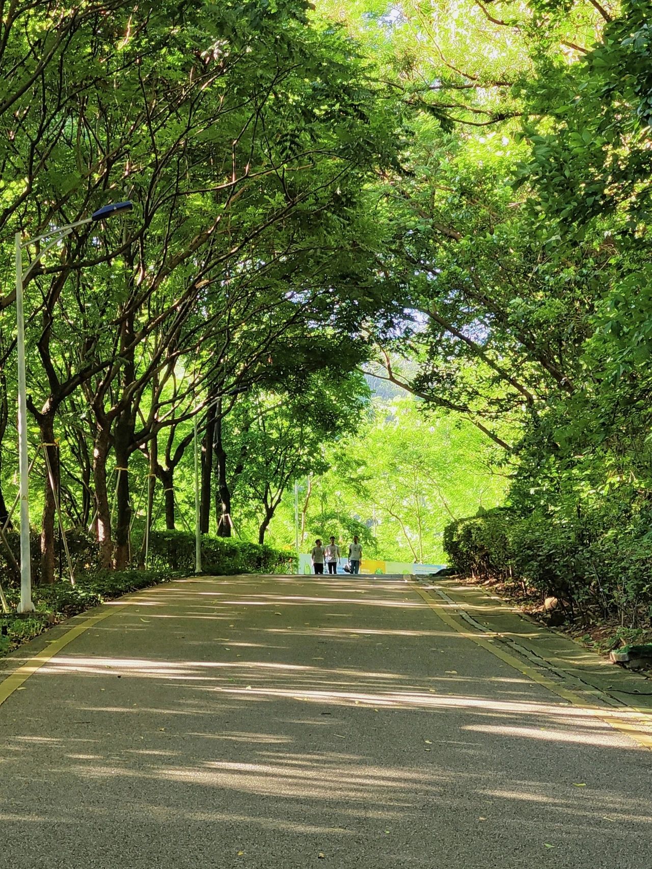 Wizard of Oz in Shenzhen, as if walking through a fairy tale forest