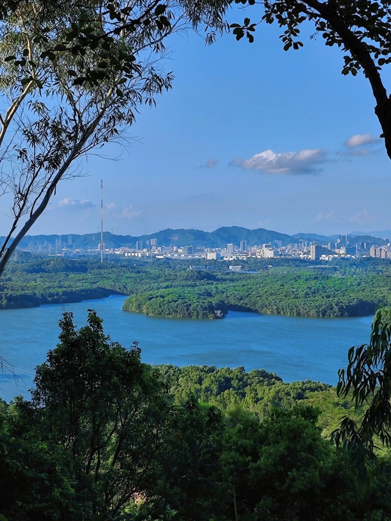 Wizard of Oz in Shenzhen, as if walking through a fairy tale forest