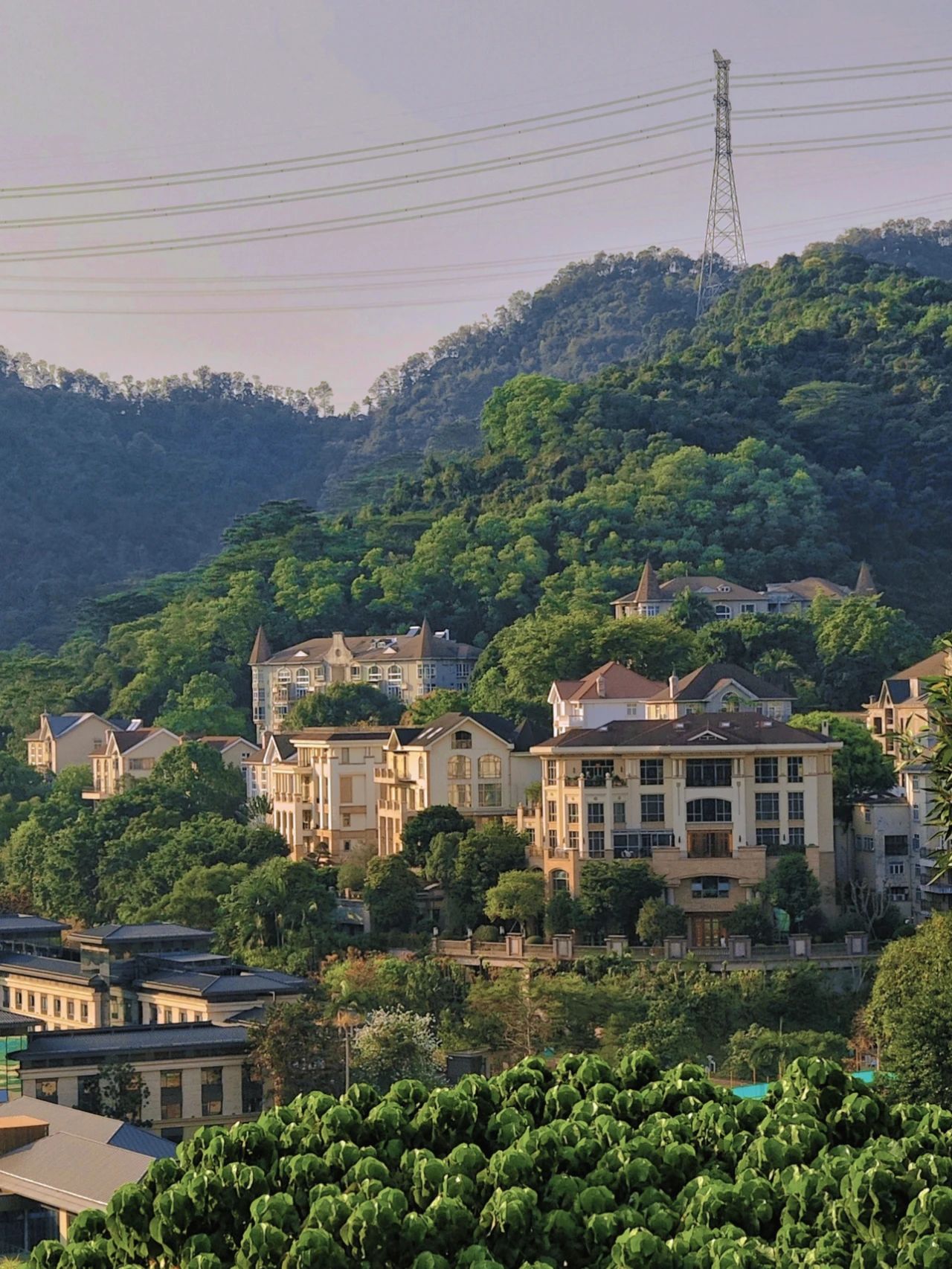 Shenzhen niche hiking routes, breaking into Miyazaki Hayao fairy tale forests