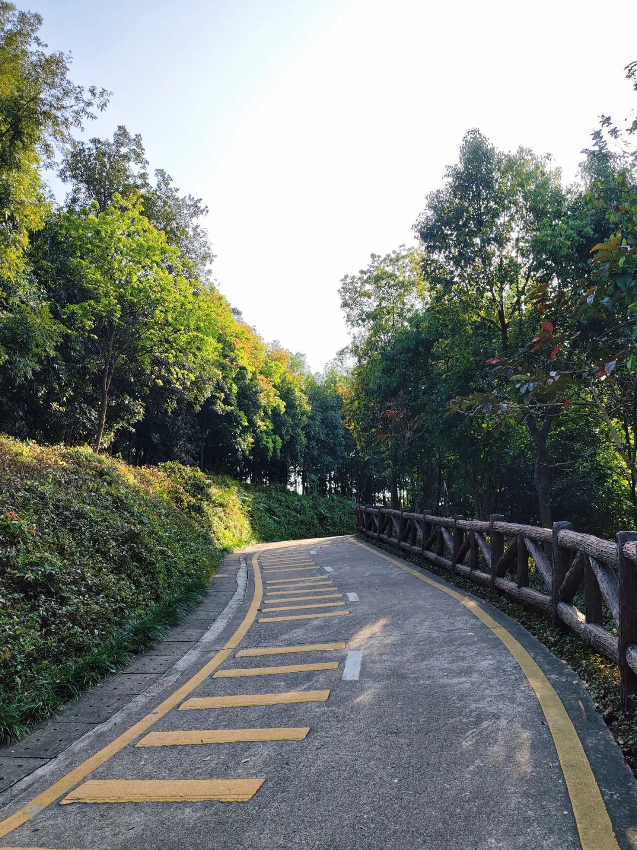 Shenzhen Luohu Talent Park, fairy tale forests