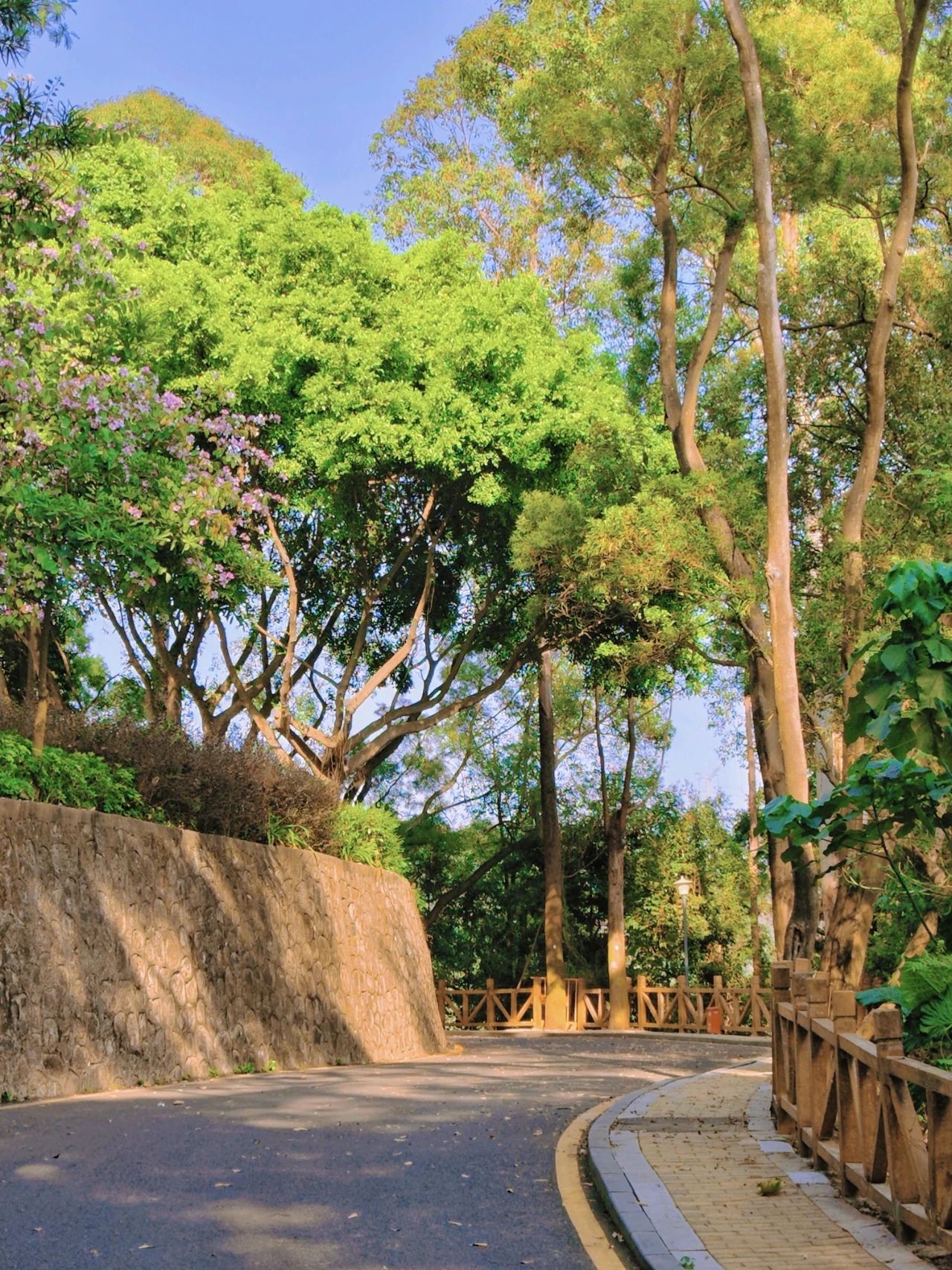 Shenzhen Luohu Talent Park, fairy tale forests