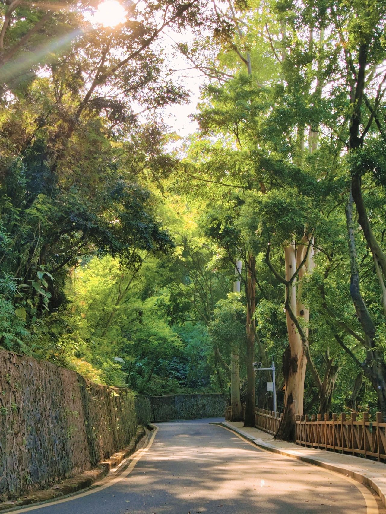 Shenzhen Luohu Talent Park, fairy tale forests