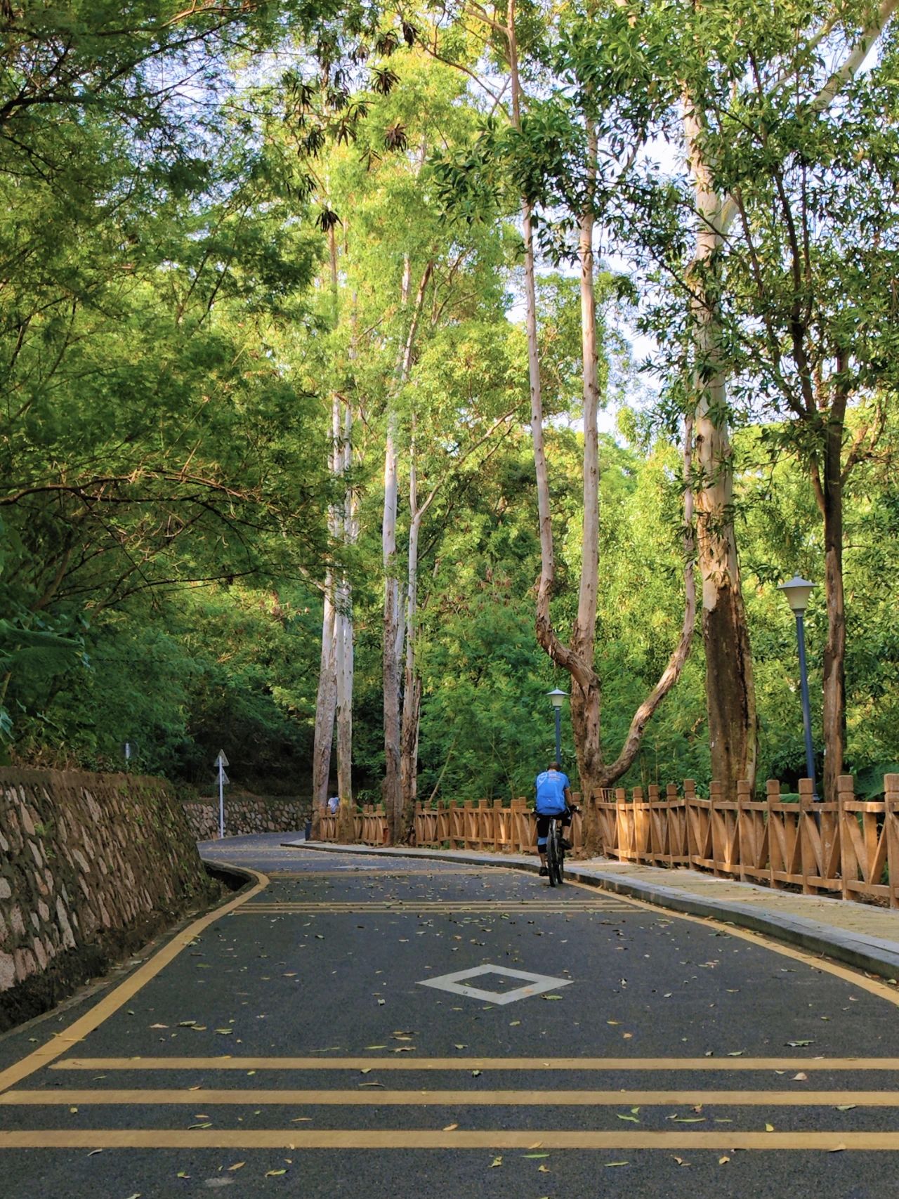 Shenzhen Luohu Talent Park, fairy tale forests