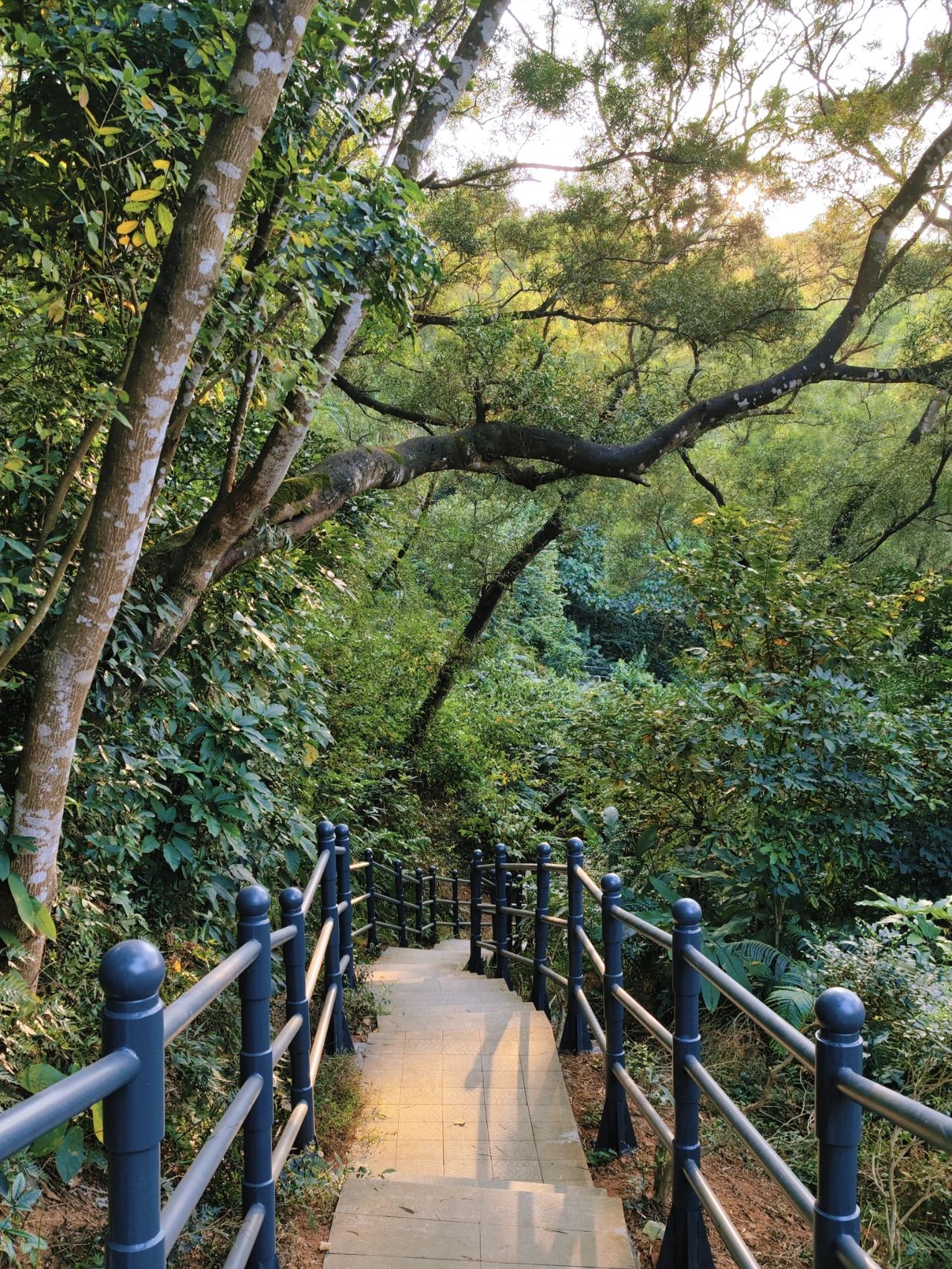 Shenzhen Luohu Talent Park, fairy tale forests