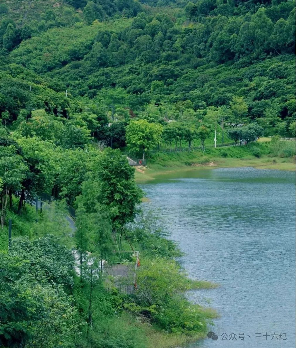 Xuezhu Path Park, broke into Shenzhen's real-life Wizard of Oz Park