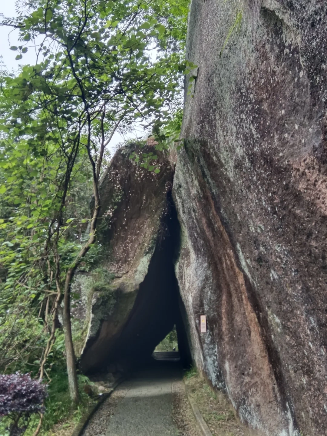 Jinyun Xiandu