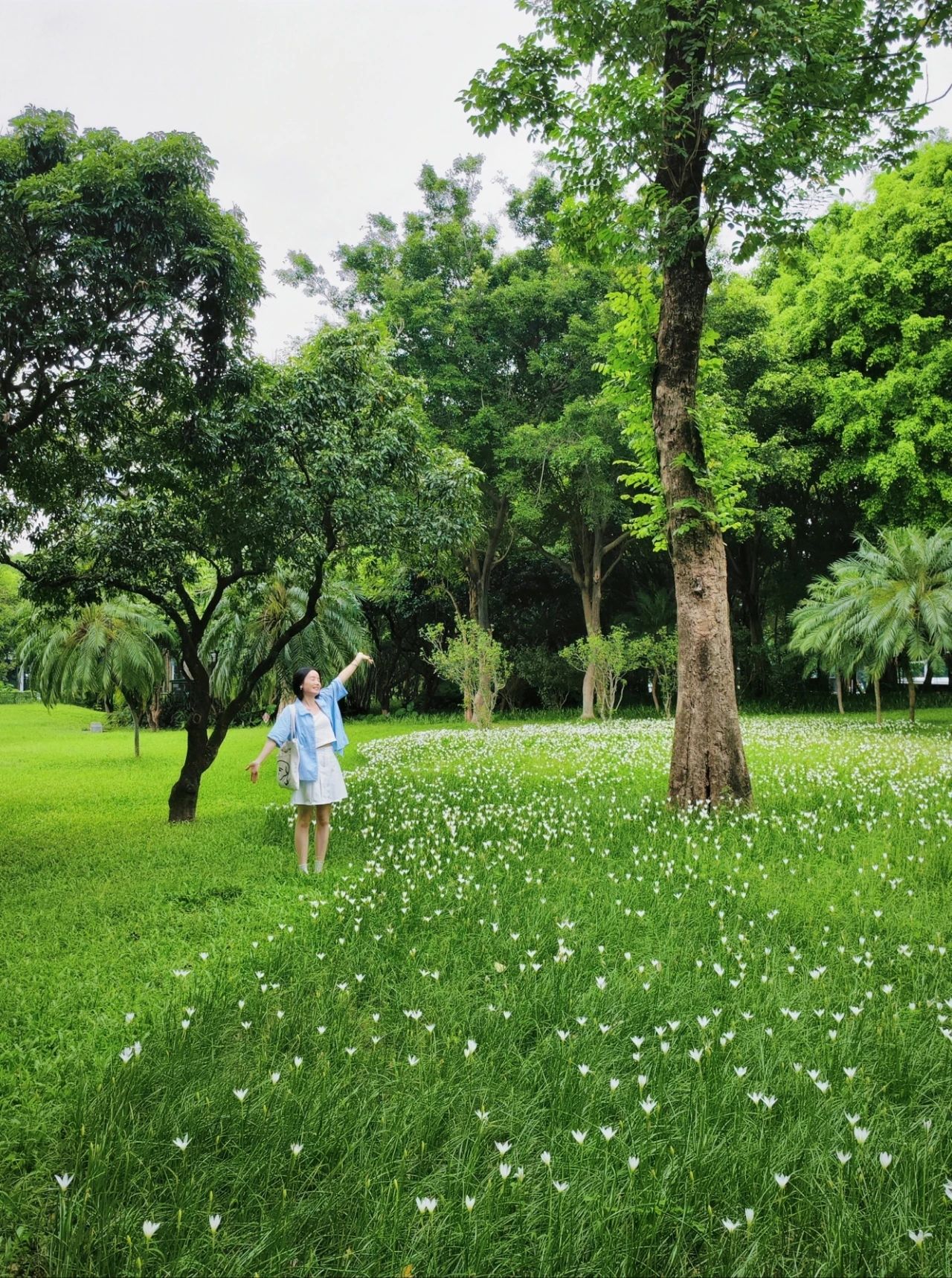 Shenzhen Center Park's Rainforest Orchid