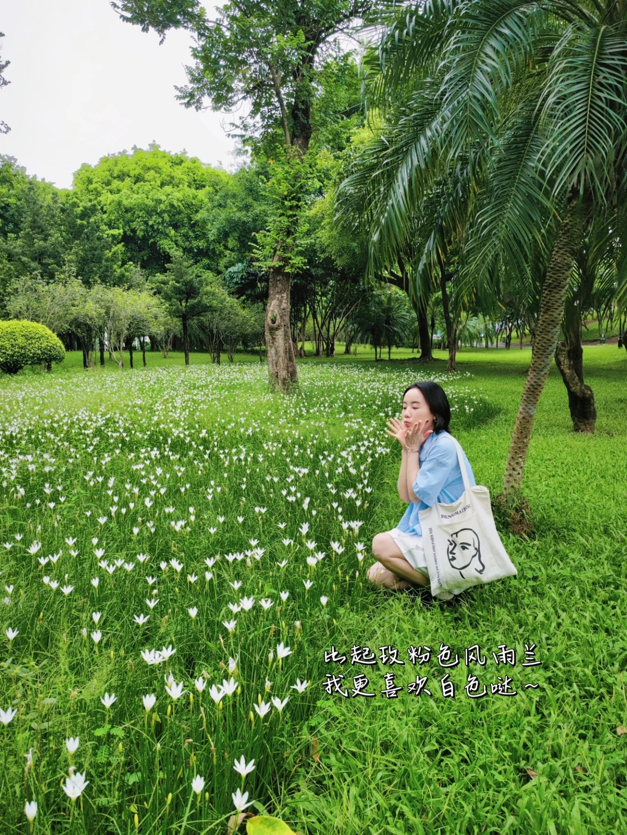 Shenzhen Center Park's Rainforest Orchid