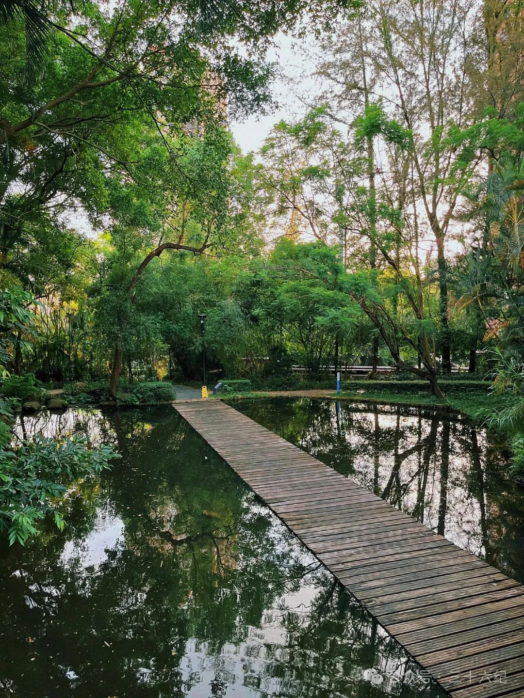 Yanhan Mountain Country Park, the Wizard of Oz in Shenzhen