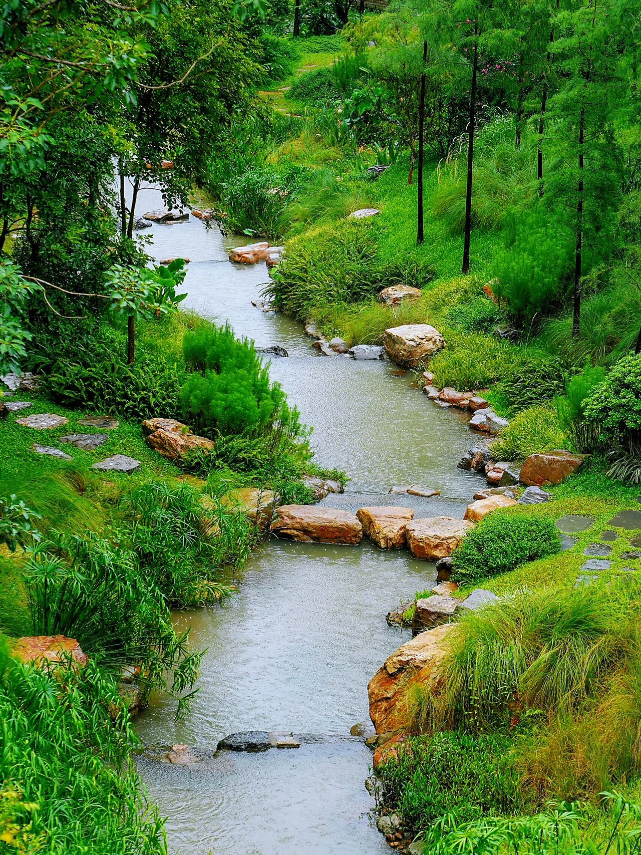 Guangzhou's new favorite ❗️ Yunxi Botanical Garden's amazing beauty is waiting for you to tease~