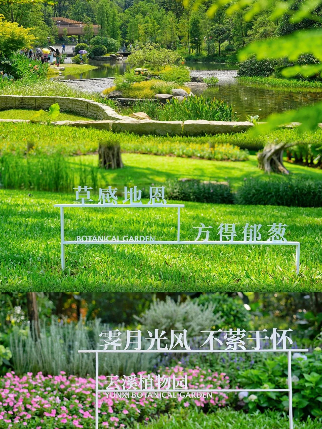 Yunxi Botanical Garden's amazing beauty is waiting for you to tease