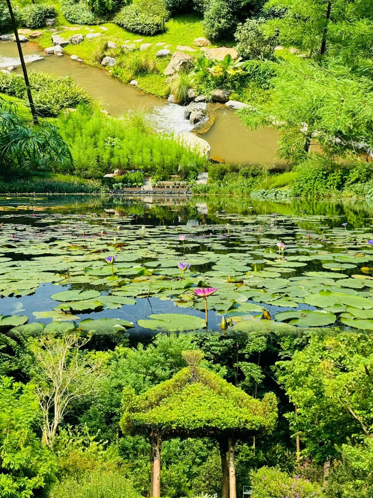 Yunxi Botanical Garden's amazing beauty is waiting for you to tease