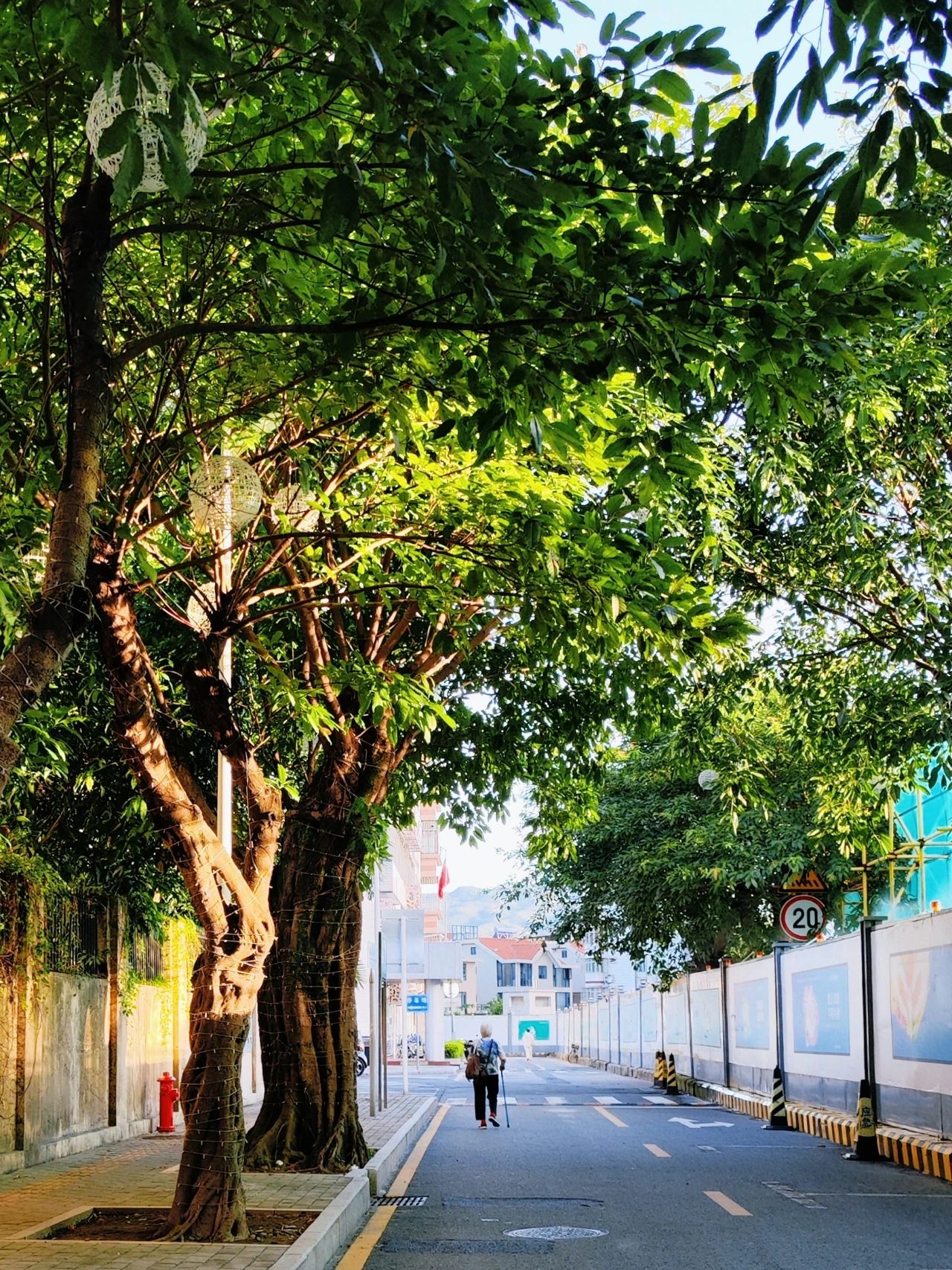 In Shenzhen!!! Guta Park by the sea, beautiful as an anime scene