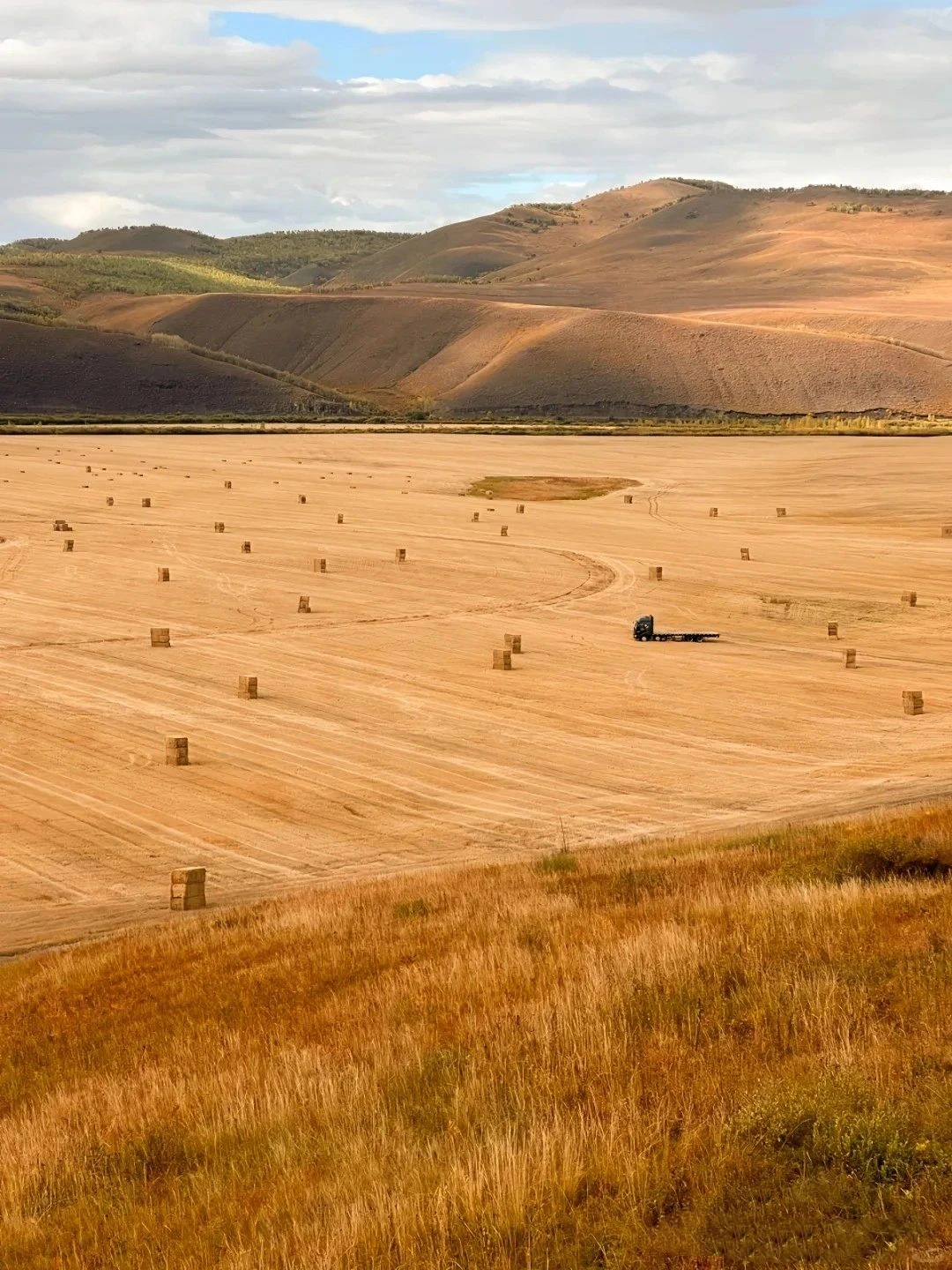 Hulunbeier in Golden Autumn is beautiful!