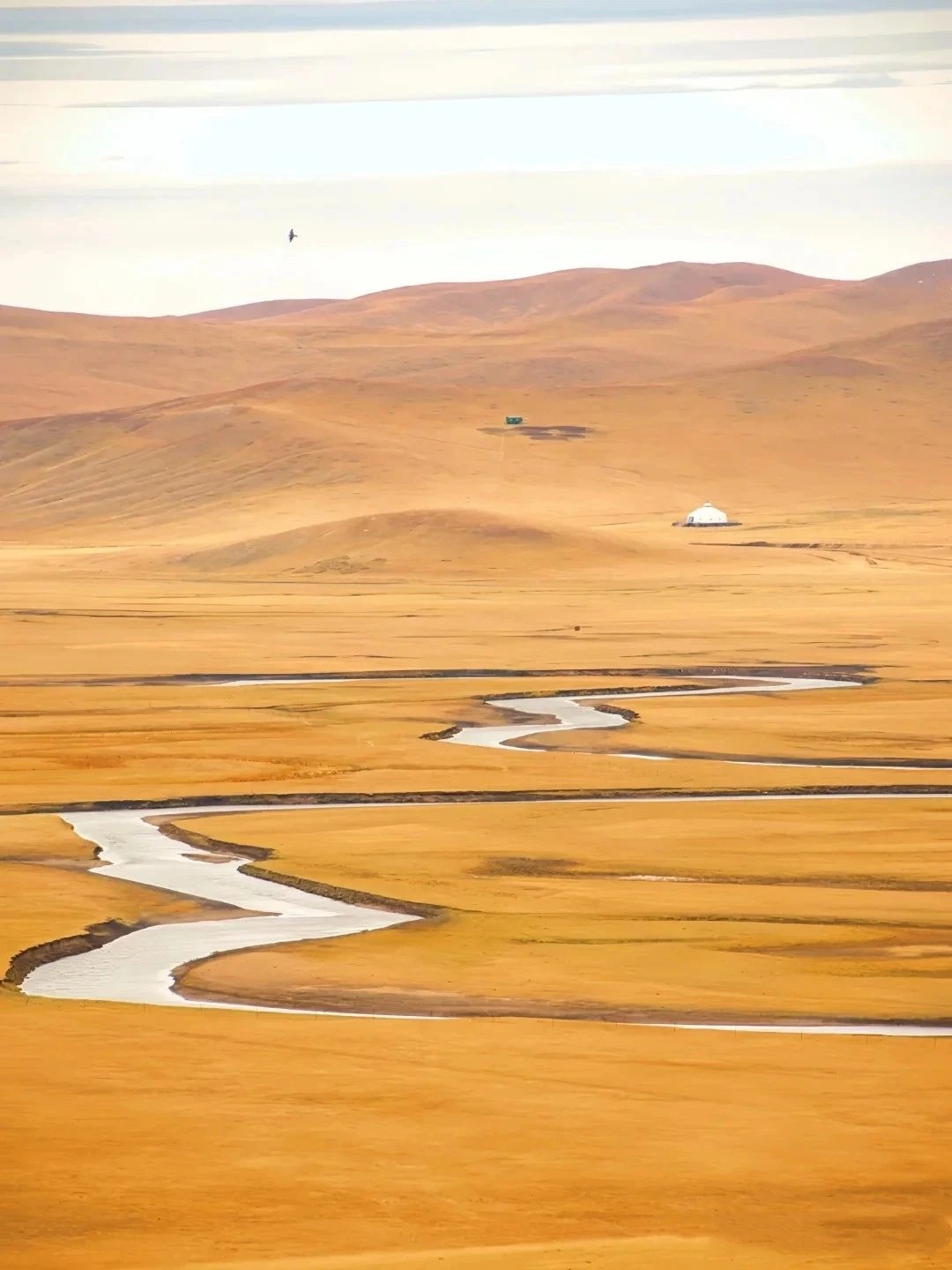 Hulunbeier in Golden Autumn is beautiful!