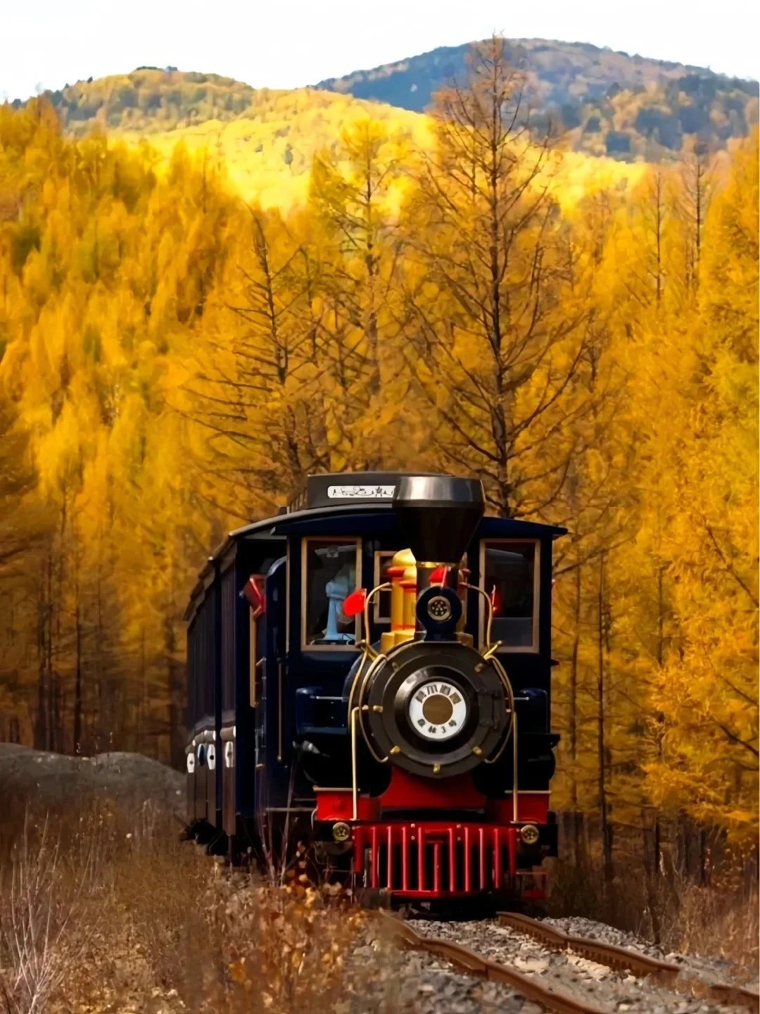 Hulunbeier in Golden Autumn is beautiful!