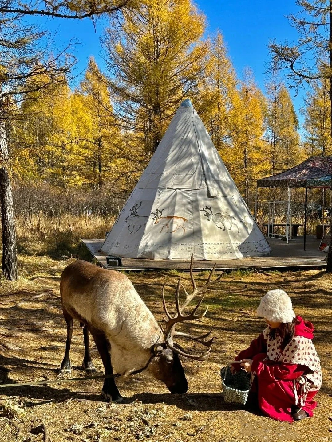 Hulunbeier in Golden Autumn is beautiful!