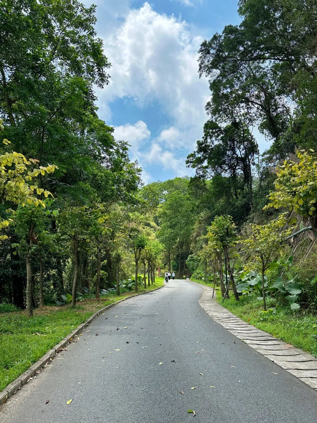 Wengu Greenway, a beautiful greenway