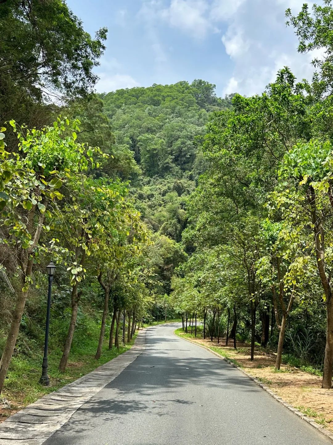 Wengu Greenway, a beautiful greenway